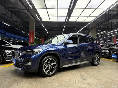 2020 BMW X1 sDrive20Li Premium Edition, фото 1, лот 10888870