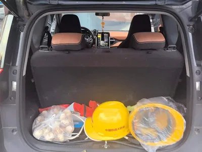 2018 QQ New Energy Little Ant 400 4-Seater Premium Smart Edition, фото 4, лот 11210619