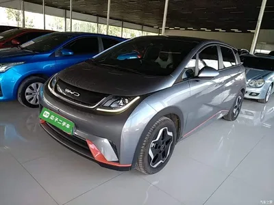 2021 BYD Dolphin Model 405km Fashion Edition, фото 2, лот 11545728