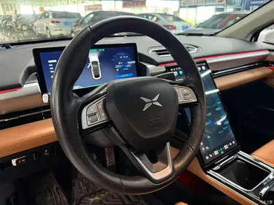 2021 XPeng P5 550E, фото 4, лот 10889384