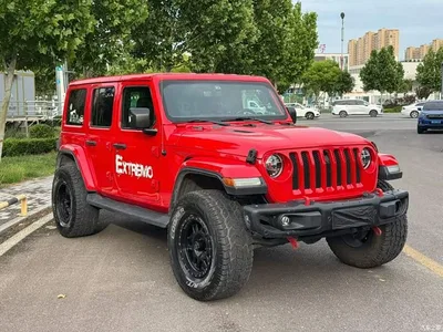 2019 Jeep Wrangler 2.0T Sahara 4-Door China VI, фото 3, лот 11132896