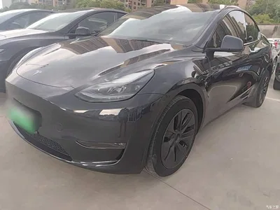2024 Tesla Model Y Long Range AWD, фото 2, лот 10370042