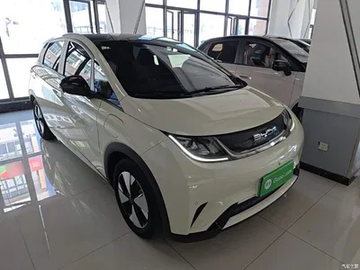 2023 BYD Dolphin 420km Fashion Edition, фото 4, лот 10259968