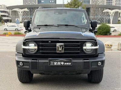 2025 Tank 300 2.0T Challenger, фото 2, лот 10895026