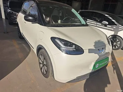 2023 Wuling Motors Wuling Bingo 203km Comfort Version, фото 4, лот 11549649
