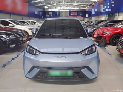 2024 BYD Seagull Glory Edition 305km Vitality Edition, фото 3, лот 10258733