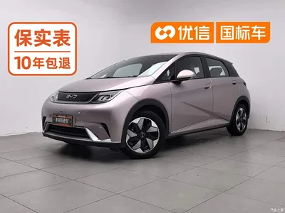 2024 BYD Dolphin Glory Edition 420km Freedom Edition, фото 1, лот 10249966