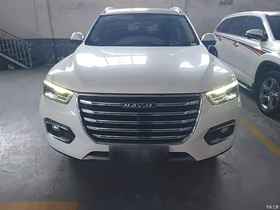 2020 Haval H6 1.5GDIT Automatic Platinum Champion Edition, фото 3, лот 10286967