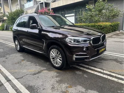 2014 BMW X5 (Import) xDrive35i Leading, фото 3, лот 10416263