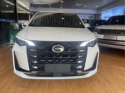 2021 GAC Trumpchi Trumpchi M6 PRO 270T Automatic Premium Edition, фото 2, лот 10415519