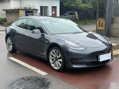 2019 Tesla Model 3 Standard Range Rear-Wheel Drive Upgrade, фото 3, лот 10366343