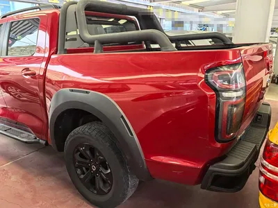 2020 Great Wall Pao 2.0T Off-Road Auto Gasoline 4WD Premium Edition GW4C20B, фото 4, лот 10245872