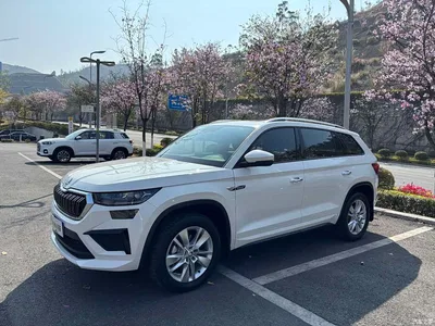 2025 Škoda Kodiaq TSI330 5-Seater FWD Capability Edition, фото 1, лот 10348319