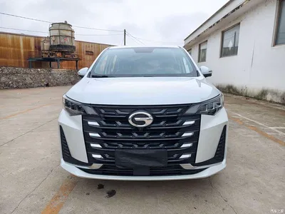 2021 GAC Trumpchi Trumpchi M6 270T DCT Premium Edition (7-seater), фото 2, лот 10420390
