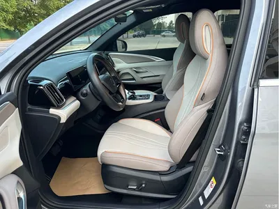 2024 BYD Song Pro New Energy Glory Edition DM-i 71KM Pilot, фото 4, лот 10274807