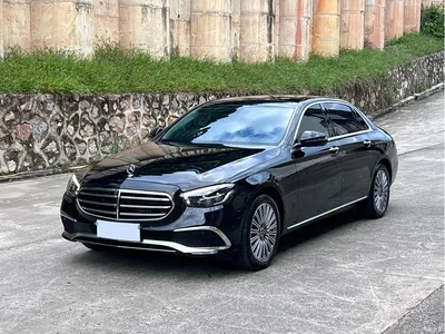 2023 Mercedes-Benz E-Class Facelift E 300 L Luxury, фото 1, лот 10266409