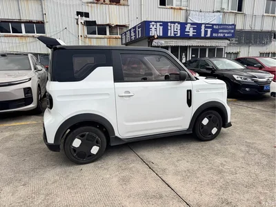 2025 Geely Galaxy Panda Model Year 210km Panda Kart, фото 3, лот 10430157