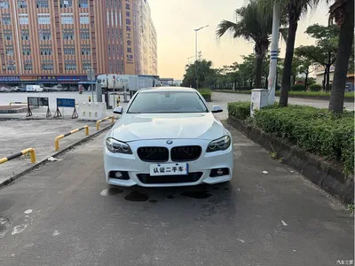 2014 BMW 5 Series 525Li Luxury Design Package, фото 2, лот 10765184