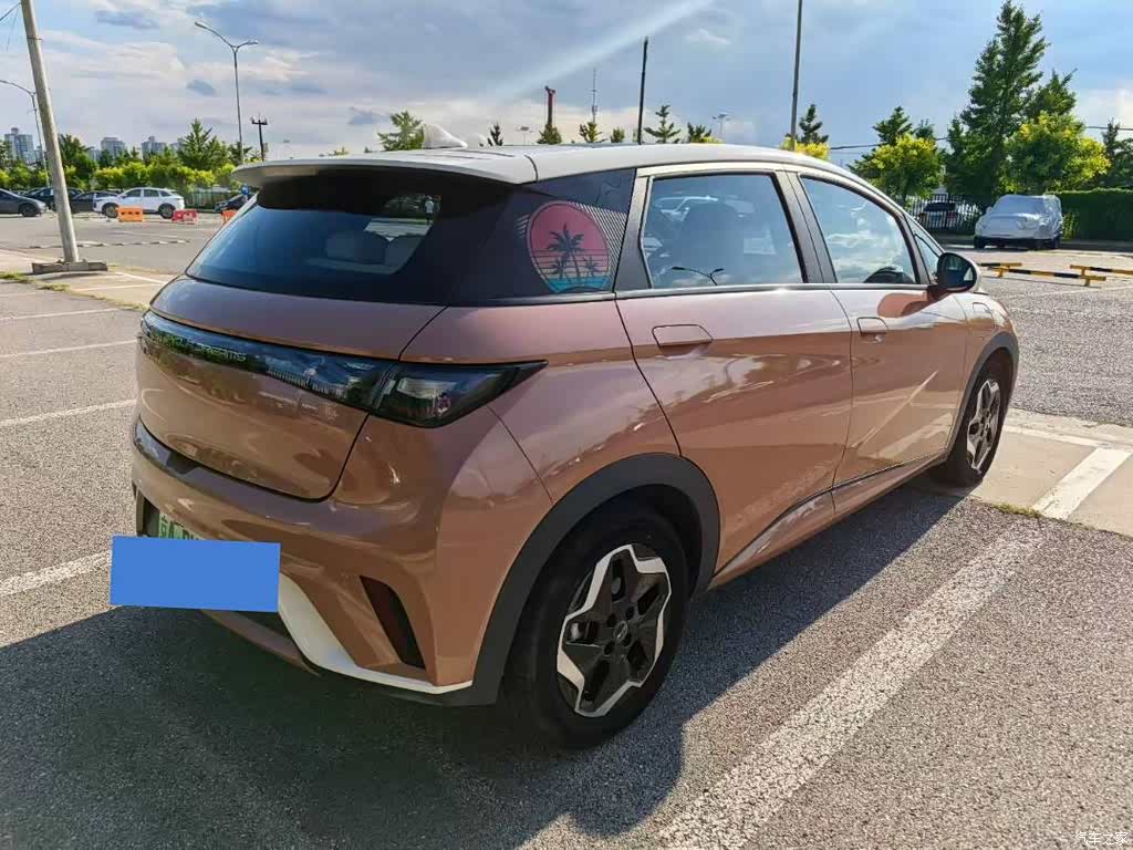 2021 BYD Dolphin Model 405km Fashion Edition, фото 4, лот 11195698