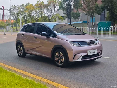 2025 BYD Dolphin 420km Fashion Edition, фото 3, лот 10679676