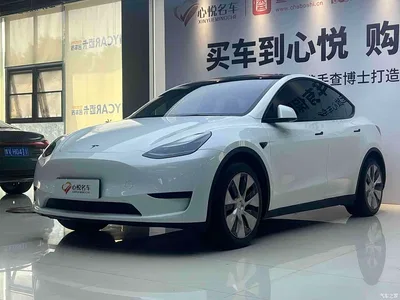 2022 Tesla Model Y Rear-Wheel Drive Version, фото 1, лот 11074397