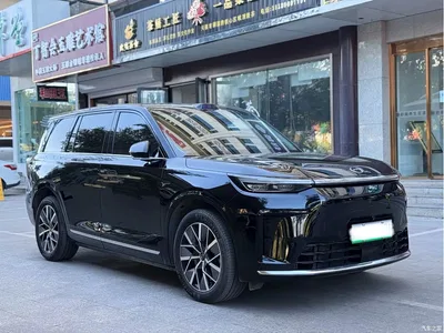 2025 GAC Trumpchi Trumpchi Vision S9 1.5T Hybrid Premium, фото 3, лот 10419714