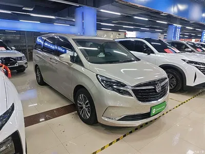 2021 Buick GL8 ES Landlord 653T Comfort, фото 4, лот 10262343