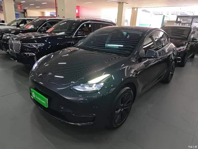 2024 Tesla Model Y Long Range AWD, фото 1, лот 10388041