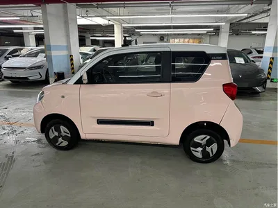 2023 Baw Yuanbao Elite Edition, фото 4, лот 10391031