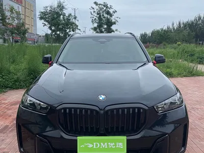 2025 BMW X5 Model xDrive 30Li Exclusive M Sport Blackout Package, фото 2, лот 10463165