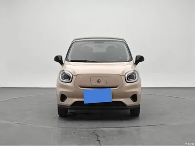 2022 Leapmotor T03 Golden Glory Edition, фото 2, лот 10314718