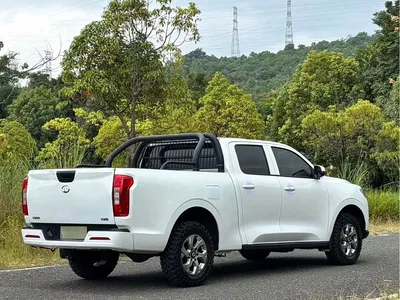 2021 Great Wall Pao 2.0T Commercial Edition Manual Diesel 4WD Elite Long Box GW4D20M, фото 4, лот 10408097