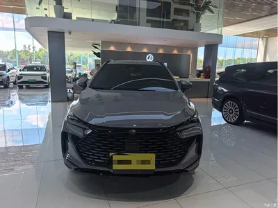 2025 BYD Tang New Energy DM-i 115KM Prestige Type, фото 2, лот 10394709