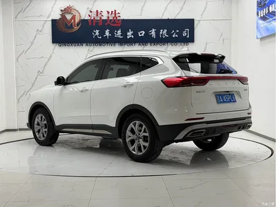 2021 Haval H6 Model National Trend Edition 1.5T Auto Champion, фото 4, лот 10416555