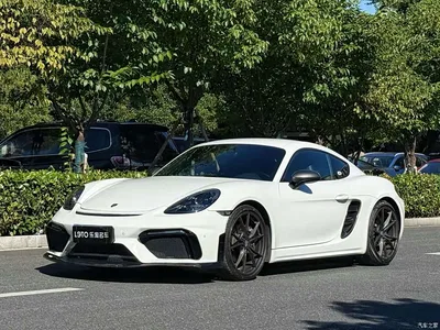 2019 Porsche 718 Cayman T 2.0T, фото 1, лот 10242184