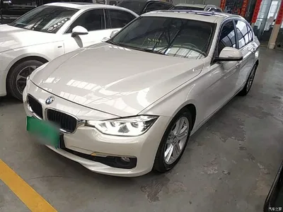 2017 BMW 3 Series 320Li Fashion, фото 1, лот 10457440