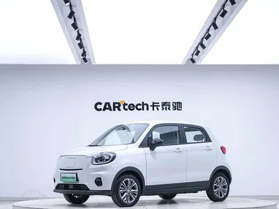 2024 Leapmotor T03 310 Comfort Edition, фото 1, лот 10314227