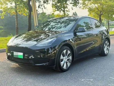 2022 Tesla Model Y Facelift Rear-Wheel Drive Version, фото 1, лот 10838636