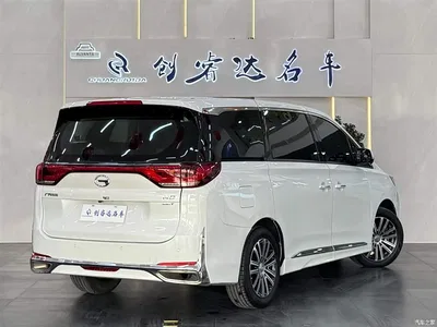 2021 GAC Trumpchi Trumpchi M8 Leading Show Series 390T Ultimate Edition, фото 4, лот 10418543