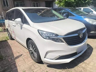 2020 Buick GL8 Model ES Landglory 653T Comfort, фото 4, лот 10262096