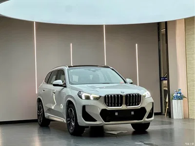 2025 BMW X1 sDrive25Li M Sport Package, фото 3, лот 10237764