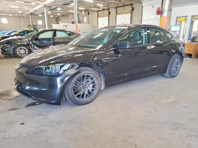 2025 TESLA MODEL 3, фото 1, лот 10659008