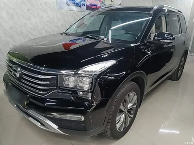2017 GAC Trumpchi Trumpchi GS8 320T 2WD Luxury Smart Connect (7-seater), фото 1, лот 10422665