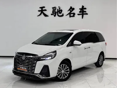 2023 Buick GL8 Facelift Land Business Class Luxury, фото 1, лот 10250745