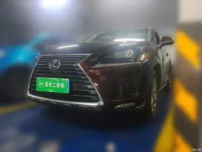 2018 Lexus NX Model 300h FWD Fengshang Edition China V, фото 1, лот 10319462