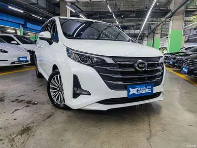 2019 GAC Trumpchi Trumpchi M6 270T DCT Premium Edition (7-seater) (China VI), фото 3, лот 10612653