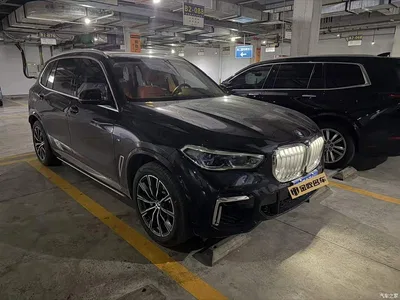 2022 BMW X5 Facelift xDrive 30Li Premium M Sport Package, фото 3, лот 11177628