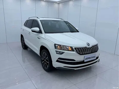 2021 Škoda Karoq TSI280 Luxury Edition, фото 3, лот 11003311