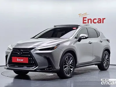 2025 Lexus NX 350h Luxury, фото 1, лот 10216478