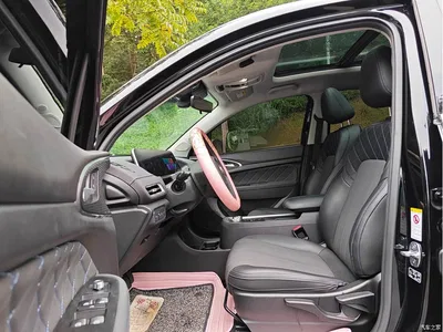 2021 Ora Good Cat 400km Standard Range Venus Edition (LFP), фото 4, лот 11415184
